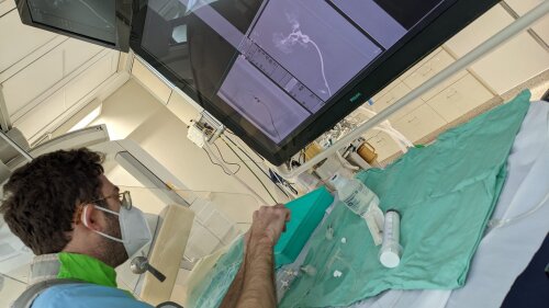 simulation